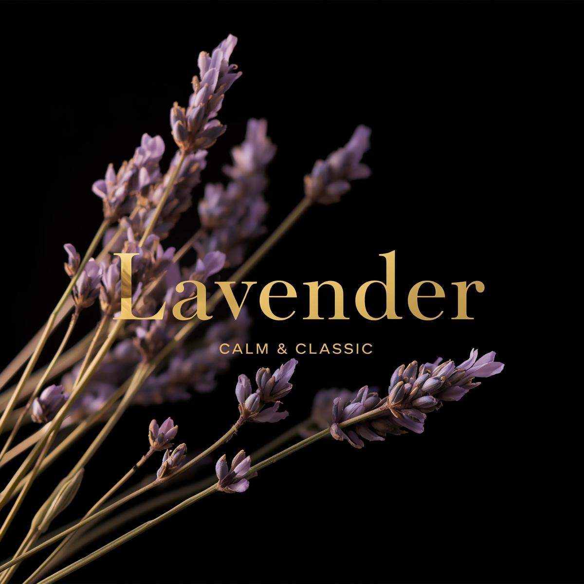 lavender